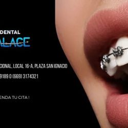 Clinica Dental Palace