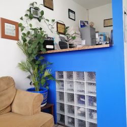 Clinica Dental Ragam
