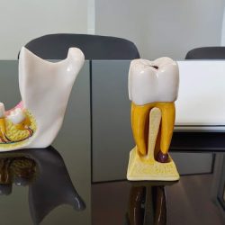 Clínica Dental Reachi