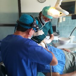 Clínica Dental San Ángel