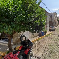 Clinica Dental Tecolotlán