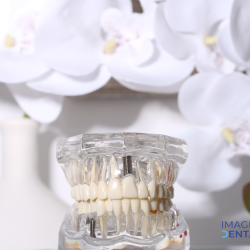Clínica Imagen Dental Servicios Dentales
