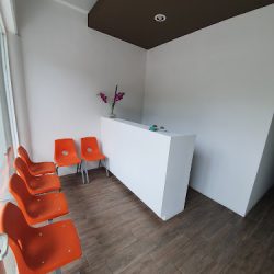 Códice Dental