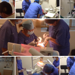 Coindental – Clínica Dental Coindental - Dentistas En Chilpancingo Gro.