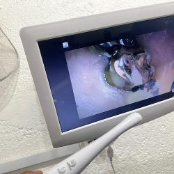 Consultorio De Odontologia Integral