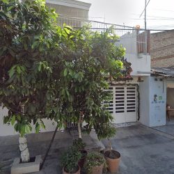 Consultorio Dental 2 De Febrero