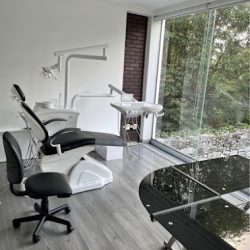 Consultorio Dental Ale Magdaleno