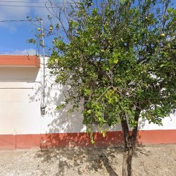 Consultorio Dental Alfredo V. Bonfil