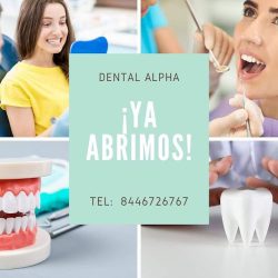 Consultorio Dental Alpha