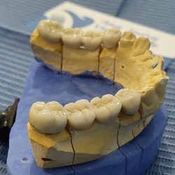 Consultorio Dental Ana Laura Vega