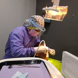 Consultorio Dental Anedcali