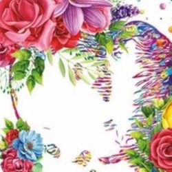 Consultorio Dental C.d. Andrea Mendoza