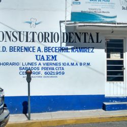 Consultorio Dental C.d. Berenice Becerril Ramírez