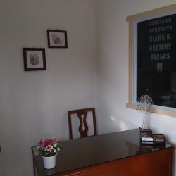 Consultorio Dental C.d Diana Garibay Avalos