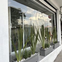 Consultorio Dental Camdent