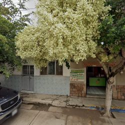 Consultorio Dental Castañeda