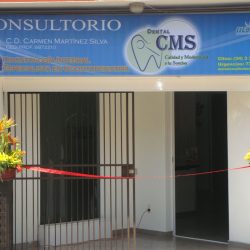 Consultorio Dental Cms