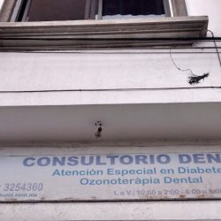 Consultorio Dental Coid