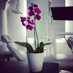 Consultorio Dental Cosmodent