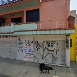 Consultorio Dental 