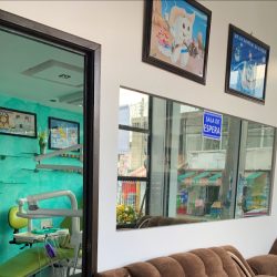 Consultorio Dental De La Paz