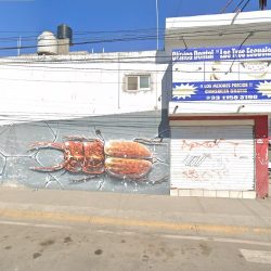 Consultorio Dental Dentistas Unidos
