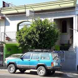 Consultorio Dental