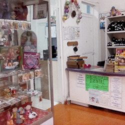 Consultorio Dental Dra. Bertha Casas V.