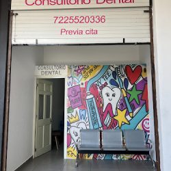 Consultorio Dental Dra Carla Mariana