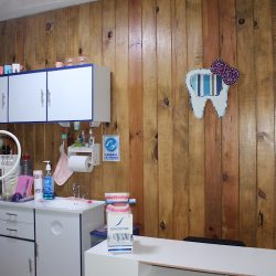 Consultorio Dental Dra Daniela Maldonado