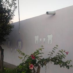 Consultorio Dental Dra Laura Leon