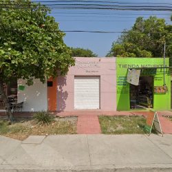 Consultorio Dental Dra Pamela Gomez