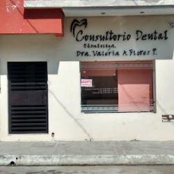 Consultorio Dental Dra. Valeria Anahi Flores Parra