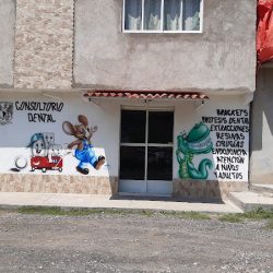 Consultorio Dental Dra. Yesica N. Rayón Ortega