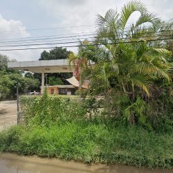 Consultorio Dental