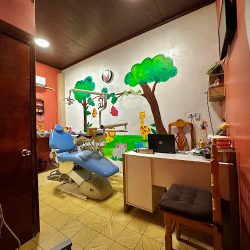 Consultorio Dental Integral Dra. Zulma Cámara Guzmán