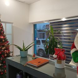 Consultorio Dental Integral Pitillal