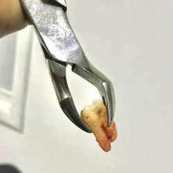 Consultorio Dental Medident