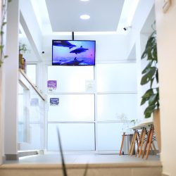 Consultorio Dental Mi Dentista