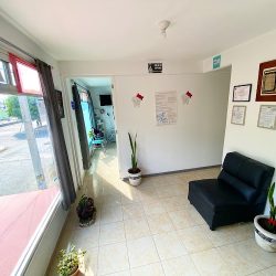 Consultorio Dental "muelitas"