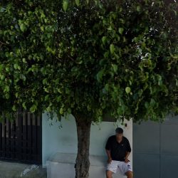 Consultorio Dental Valrey