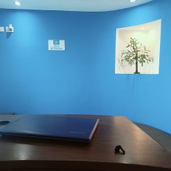 Consultorio Dental Vident