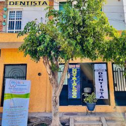 Consultorio Dentaly