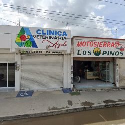 Consultorio Médico Dra.mg