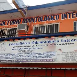 Consultorio Odontológico Integral Dra. Lidia Priego Vázquez