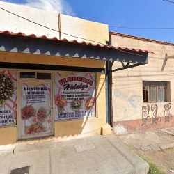 Consultorios Dentales Del Sector Privado