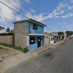 Consultorios Dentales Del Sector Privado