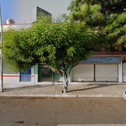 Consultorios Dentales Del Sector Privado