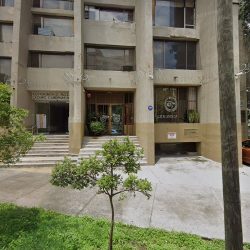 Consultorios Dentales Del Sector Privado
