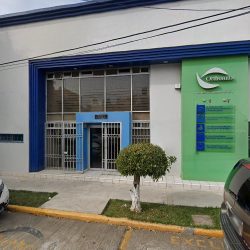 Consultorios Dentales Del Sector Privado